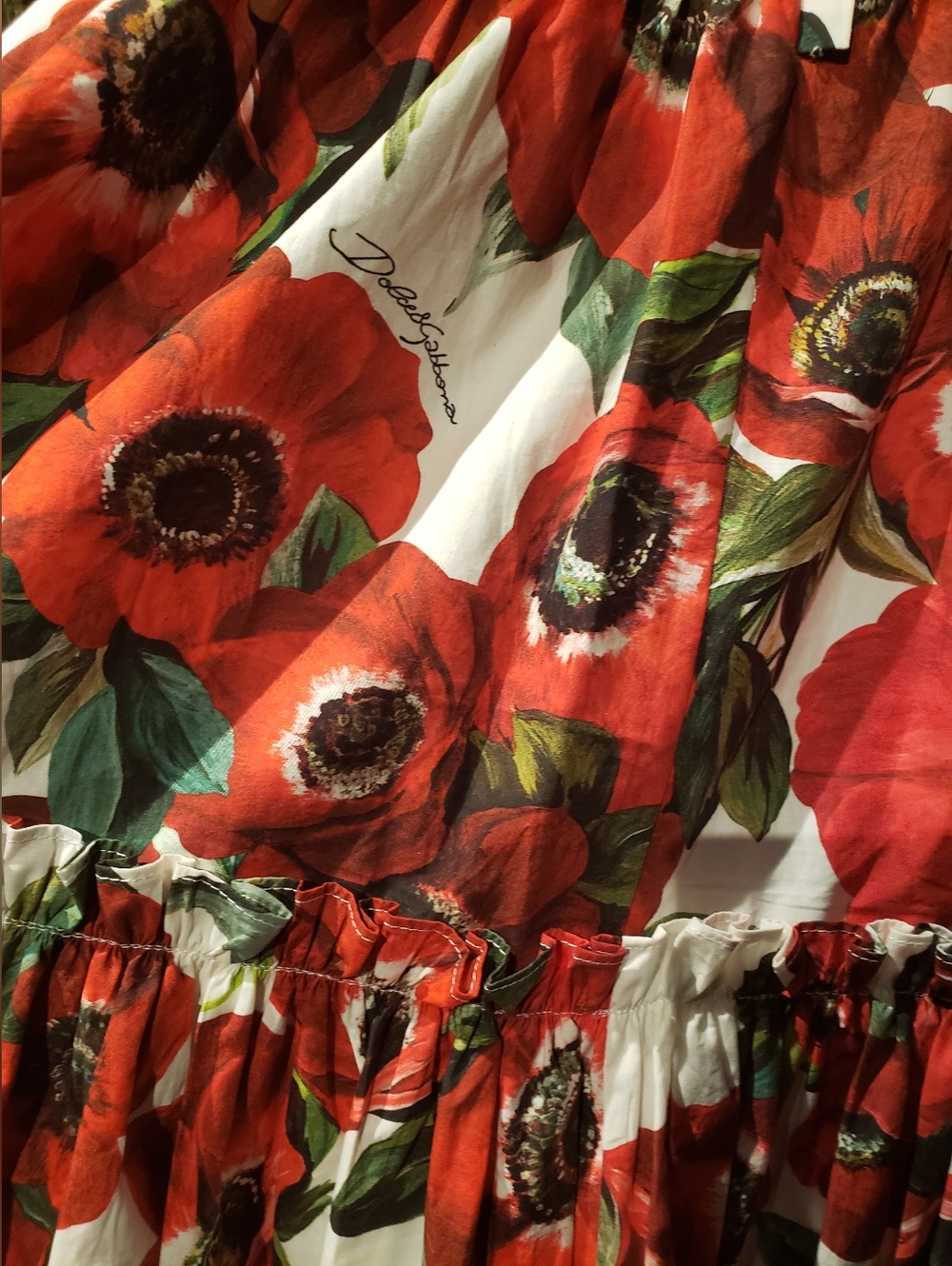 Dolce & Gabbana Iconic Red Poppy Print Vibrant Green Red Black Maxi Dress